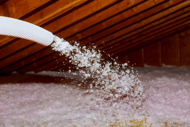 Best Home Insulation Services  in Mcmurray, PA