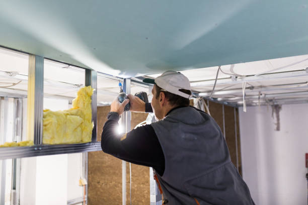 Best Blown-in Insulation  in Mcmurray, PA
