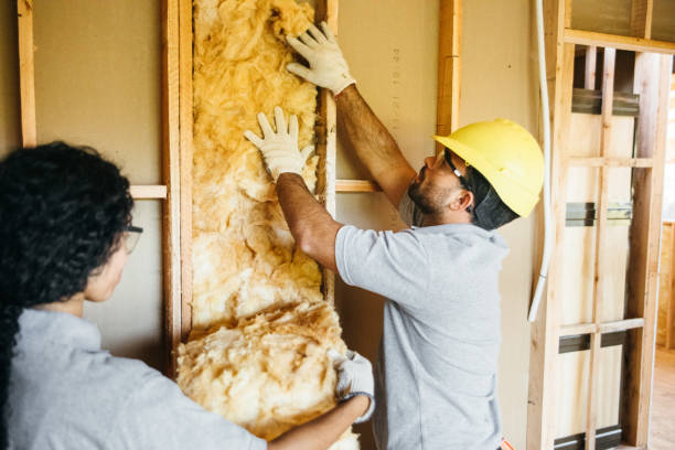 Best Best Insulation Companies  in Mcmurray, PA